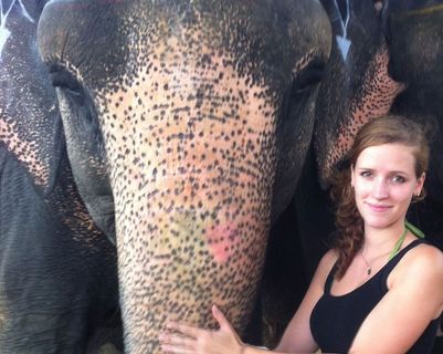 rencontre-avec-les-elephants-du-rajasthan.htm