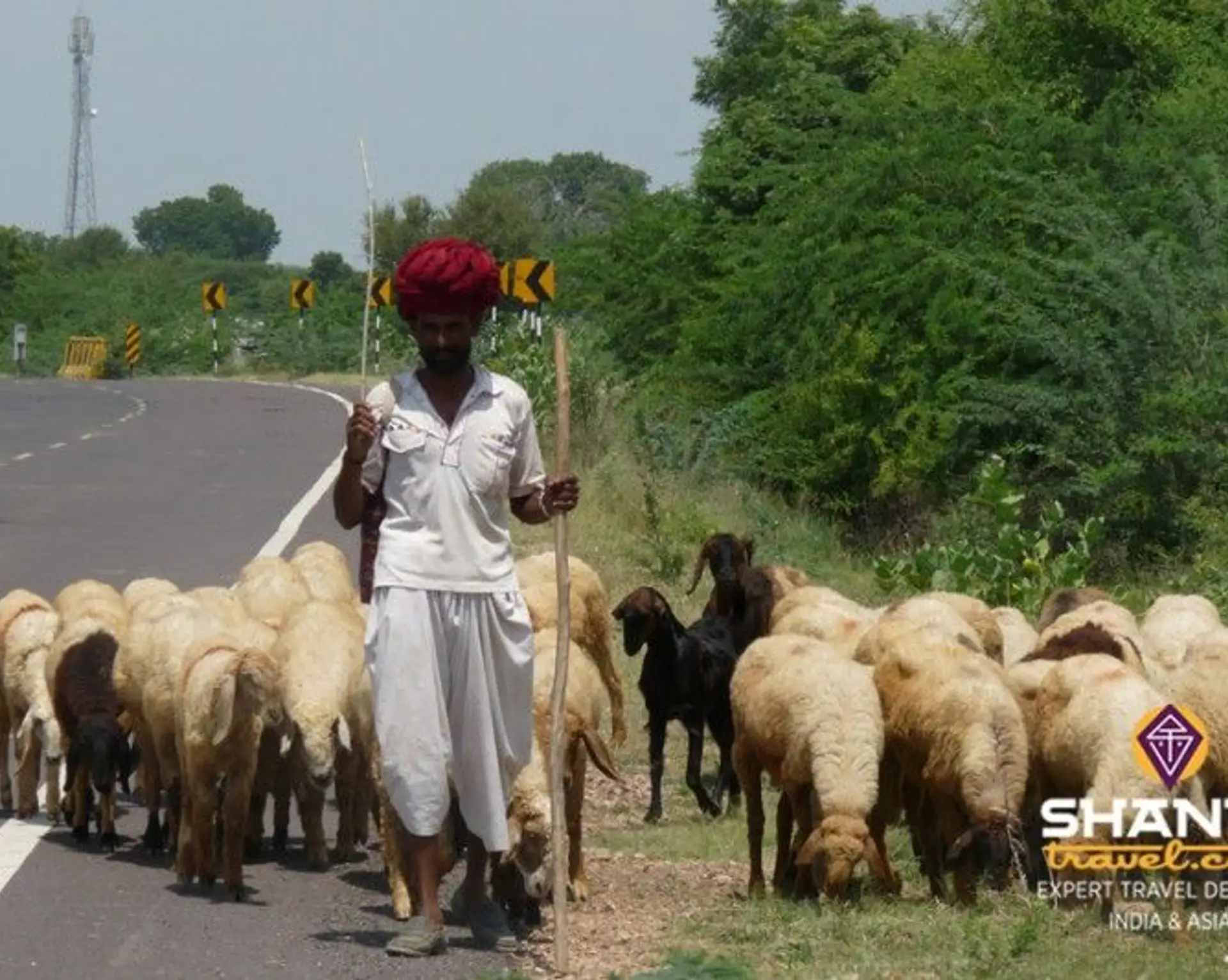 sur-la-route-du-rajasthan-de-jaipur-agra.htm