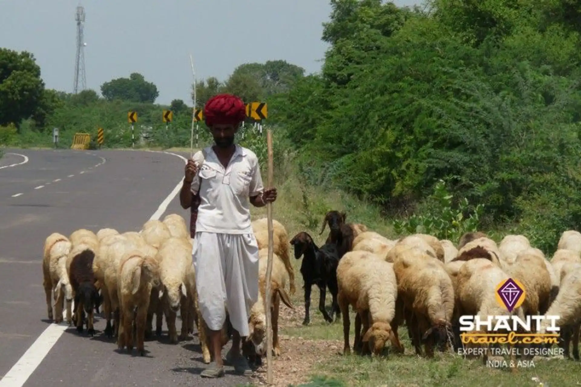 sur-la-route-du-rajasthan-de-jaipur-agra.htm