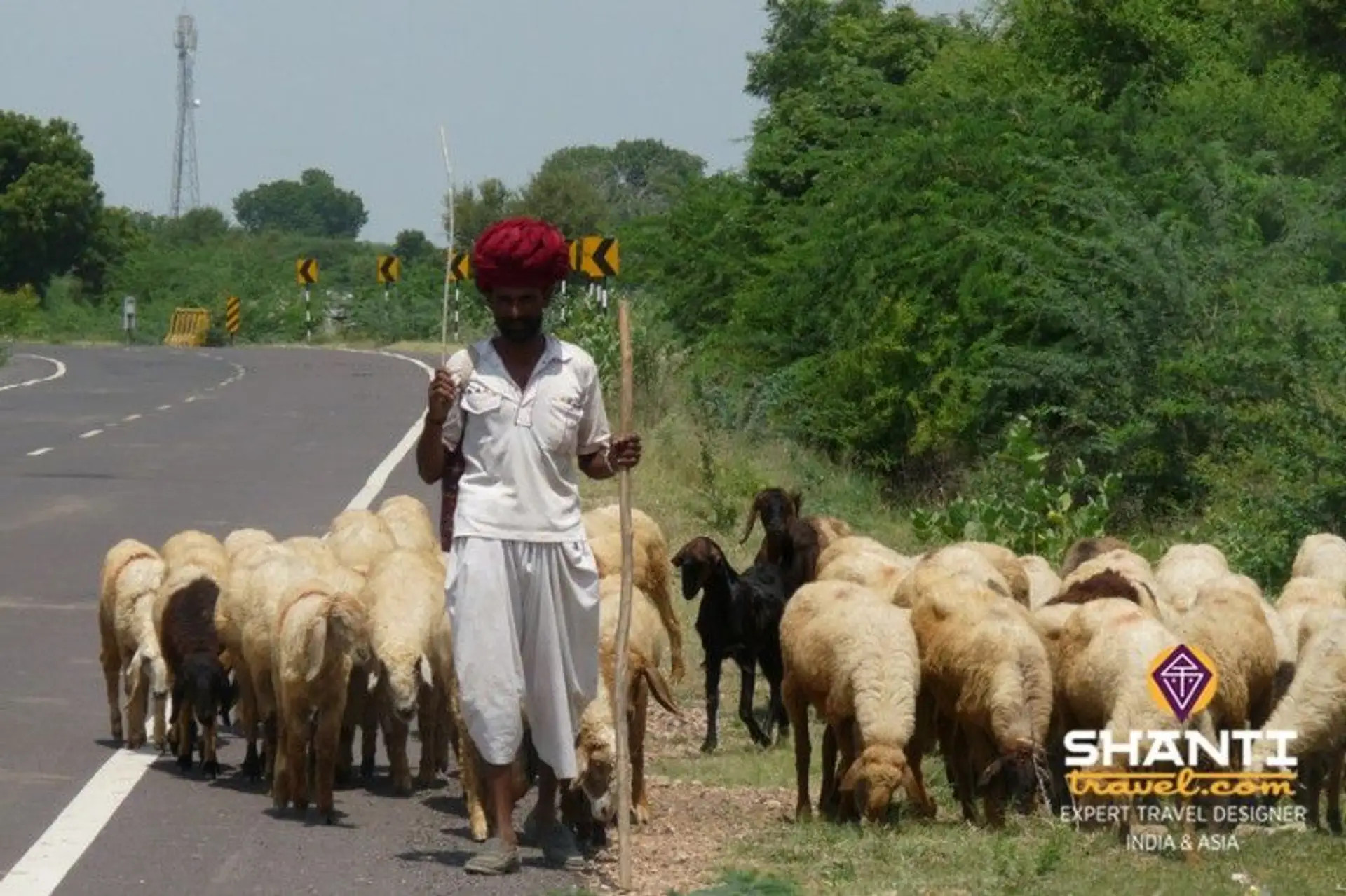 sur-la-route-du-rajasthan-de-jaipur-agra.htm
