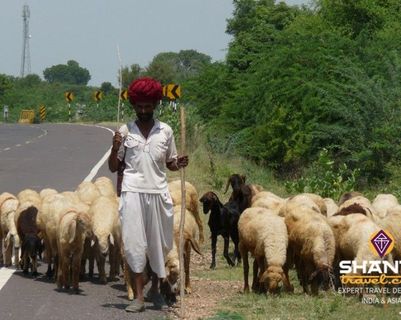 sur-la-route-du-rajasthan-de-jaipur-agra.htm