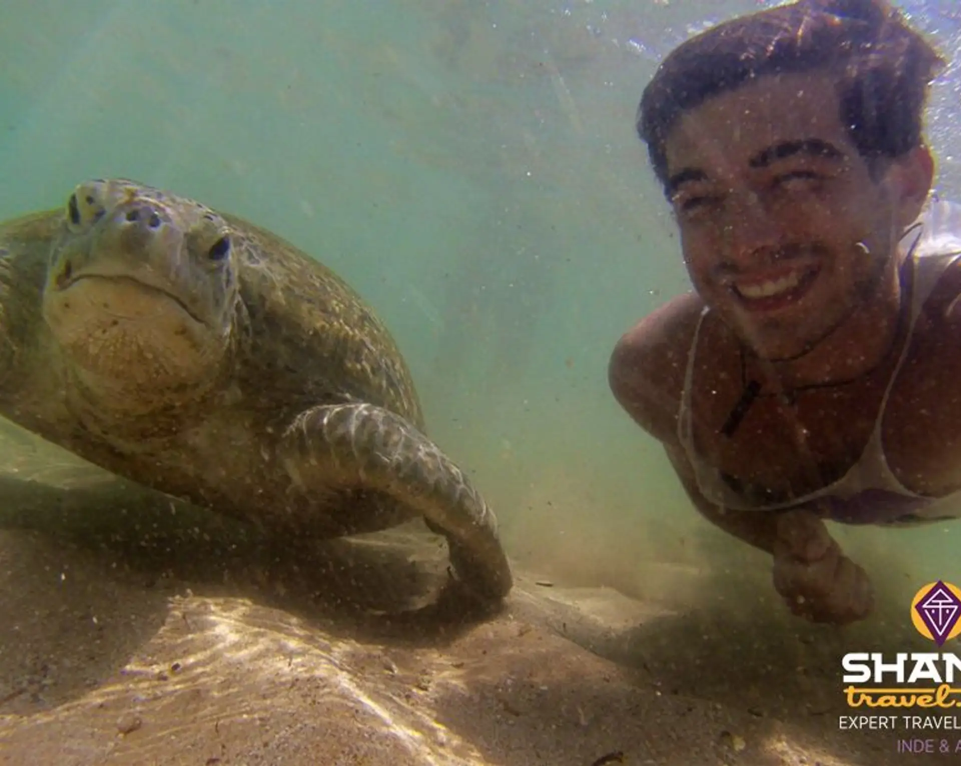 Travel in Asia - A man smiling while swimming next to a sea turtle off the coast of Sri Lanka