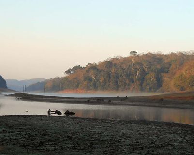 periyar-vie-sauvage-kerala.htm