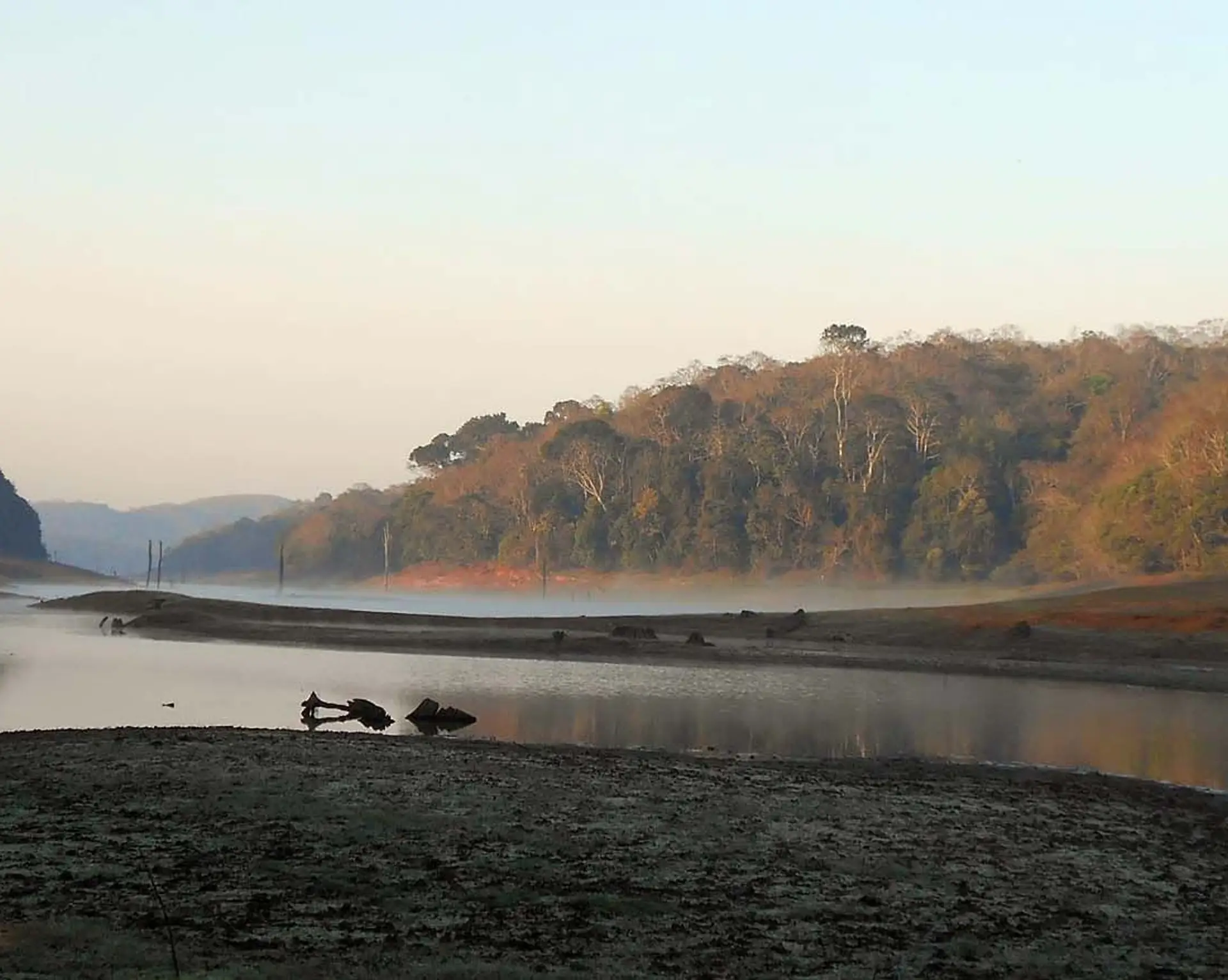 periyar-vie-sauvage-kerala.htm