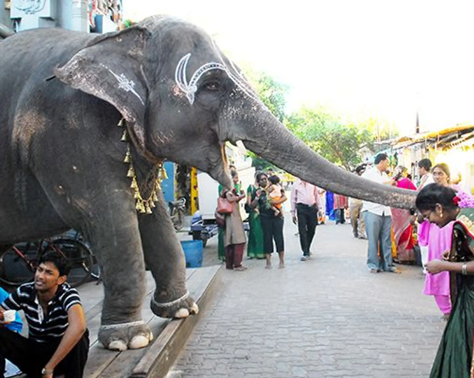 shanti-fete-le-printemps-un-cadeau-vous-attend.htm