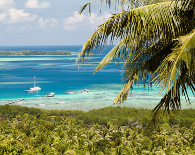 expats-ou-partir-asie-printemps.htm