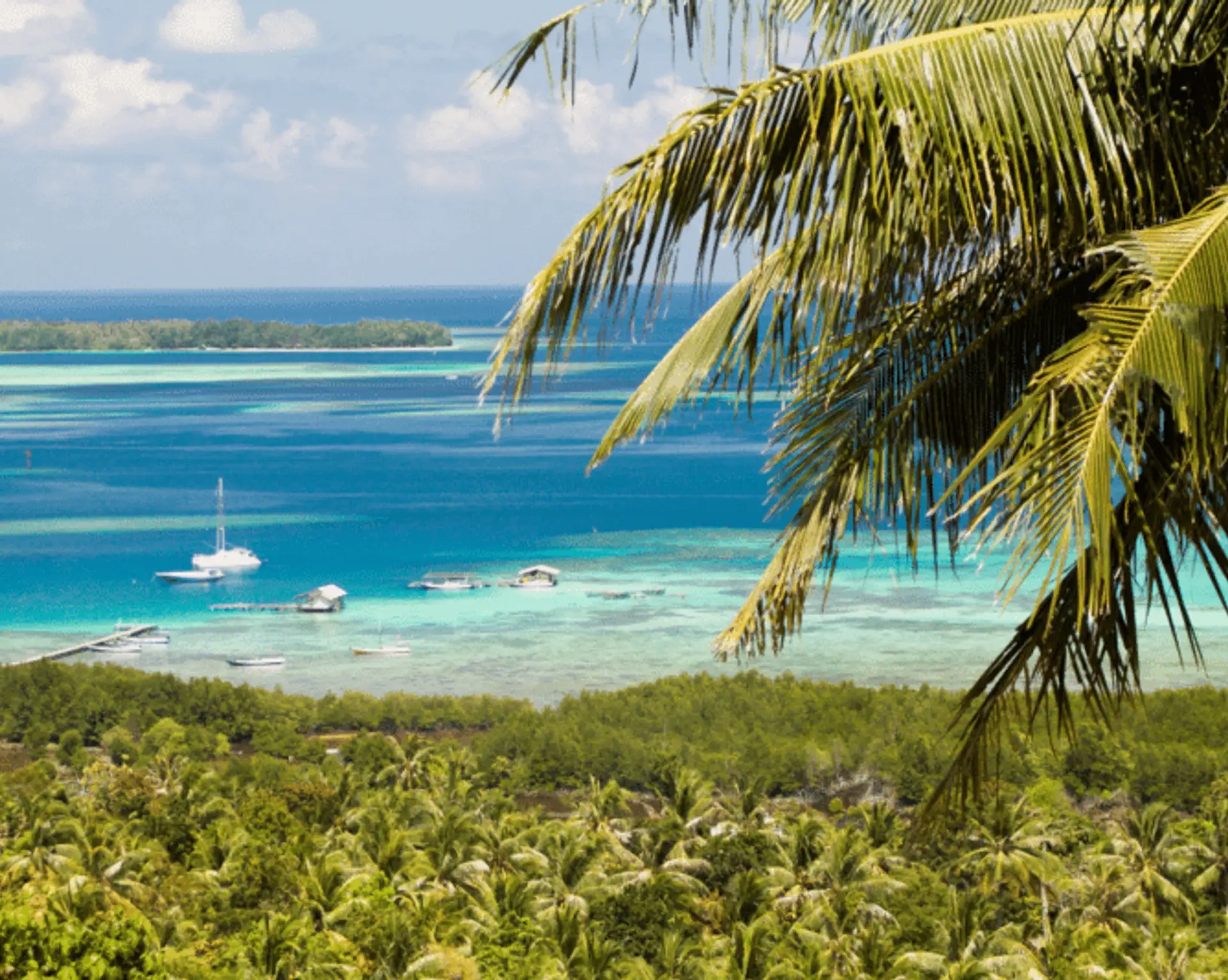 expats-ou-partir-asie-printemps.htm