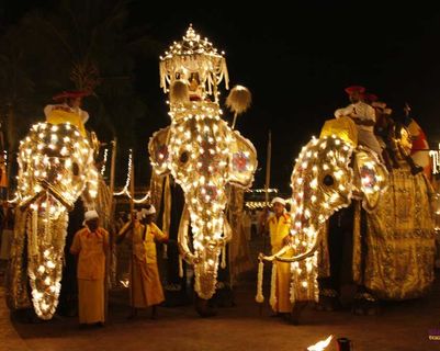 sri-lankan-festival-the-esala-perahera-2015.htm