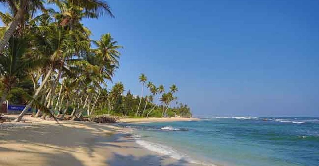 Travel in Asia - Palm tree-lined beach in Sri Lanka