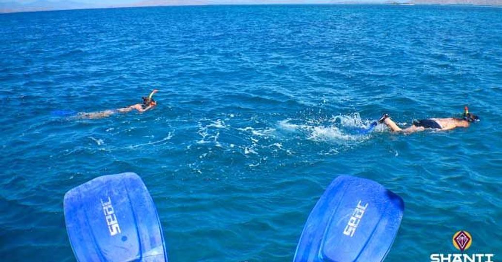 Travel in Asia - Person in flippers watching other snorkelers in the ocean