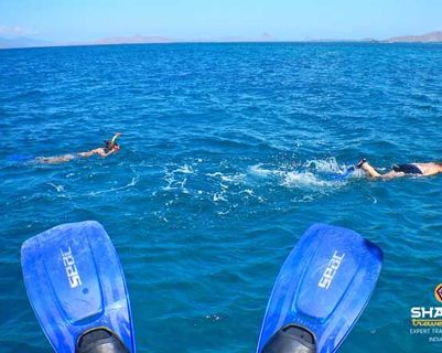 Travel in Asia - Person in flippers watching other snorkelers in the ocean