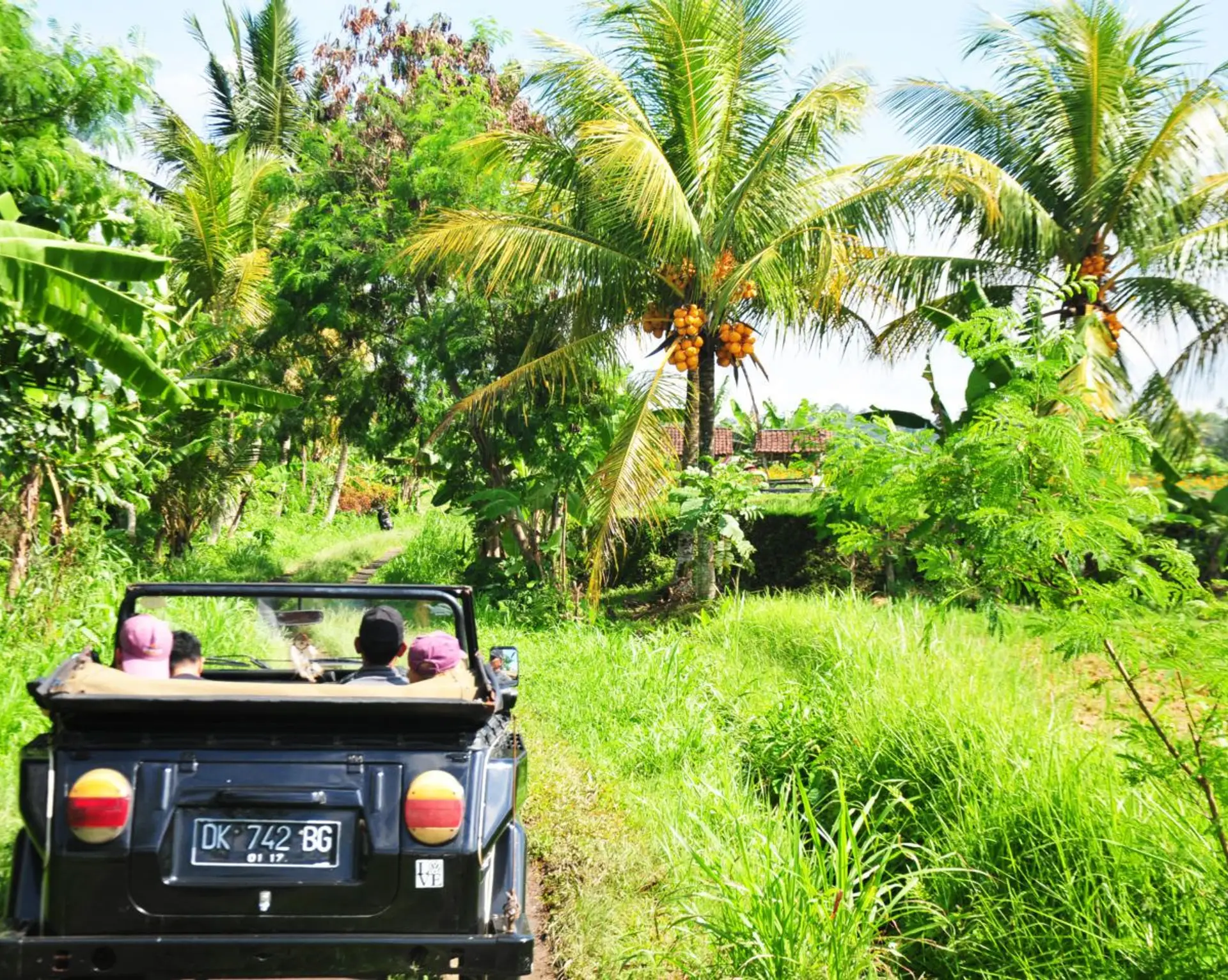 top-5-experiences-shanti-travel.htm