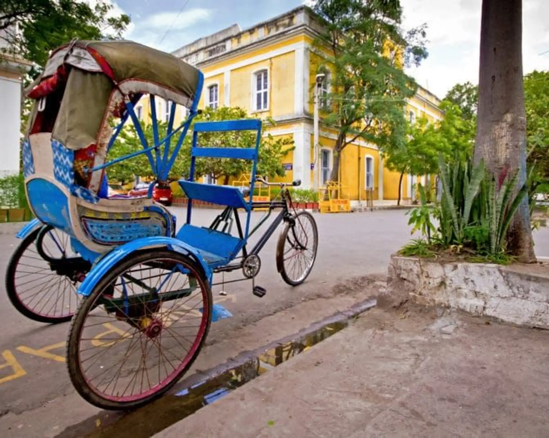 top-5-experiences-inde-du-sud.htm