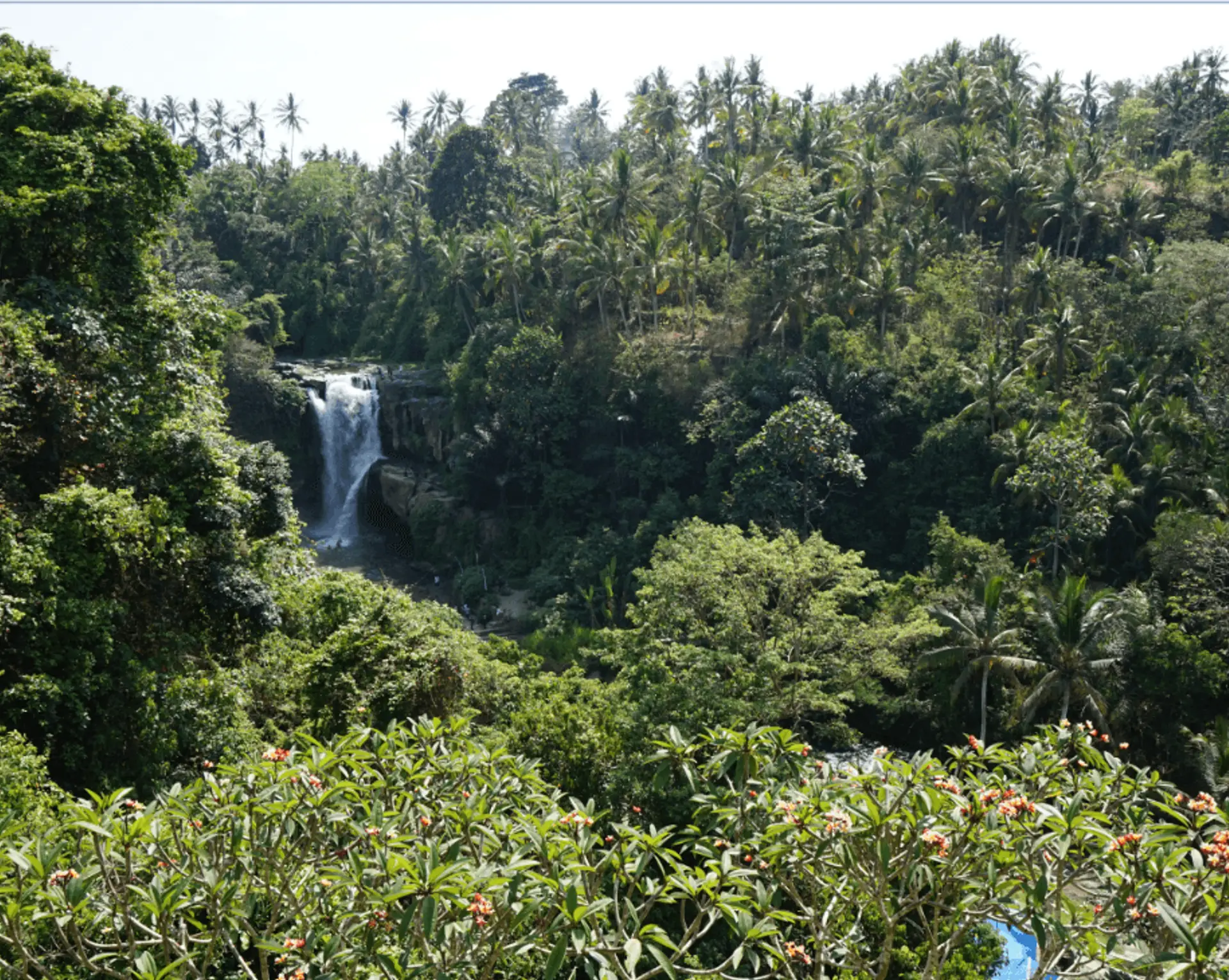 top-5-des-cascades-a-bali.htm