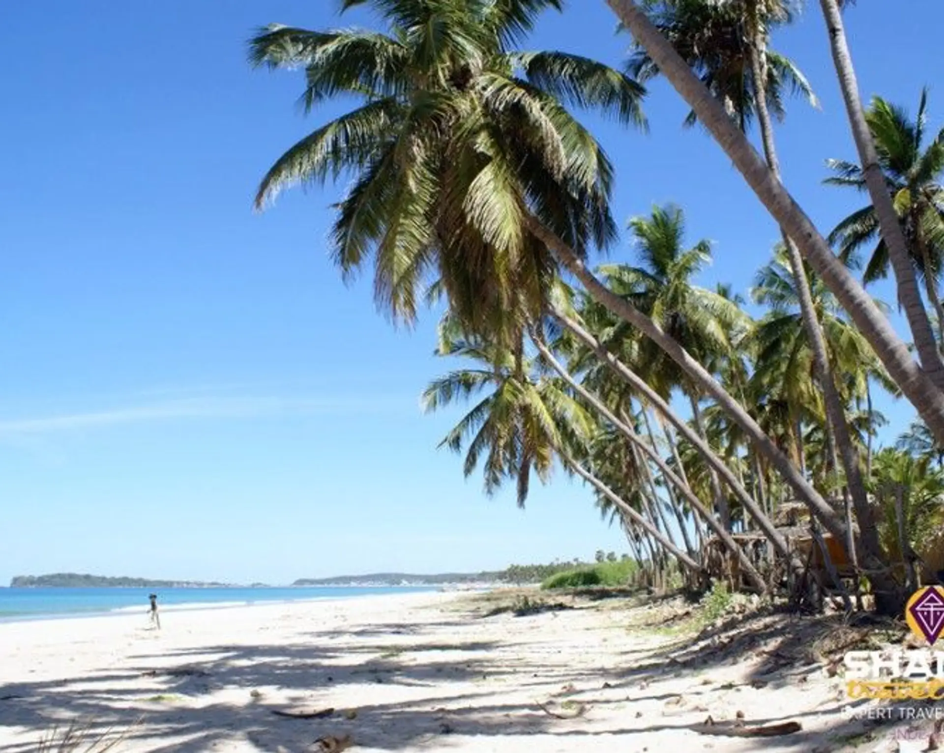 top-5-des-plus-belles-plages-du-sri-lanka.htm