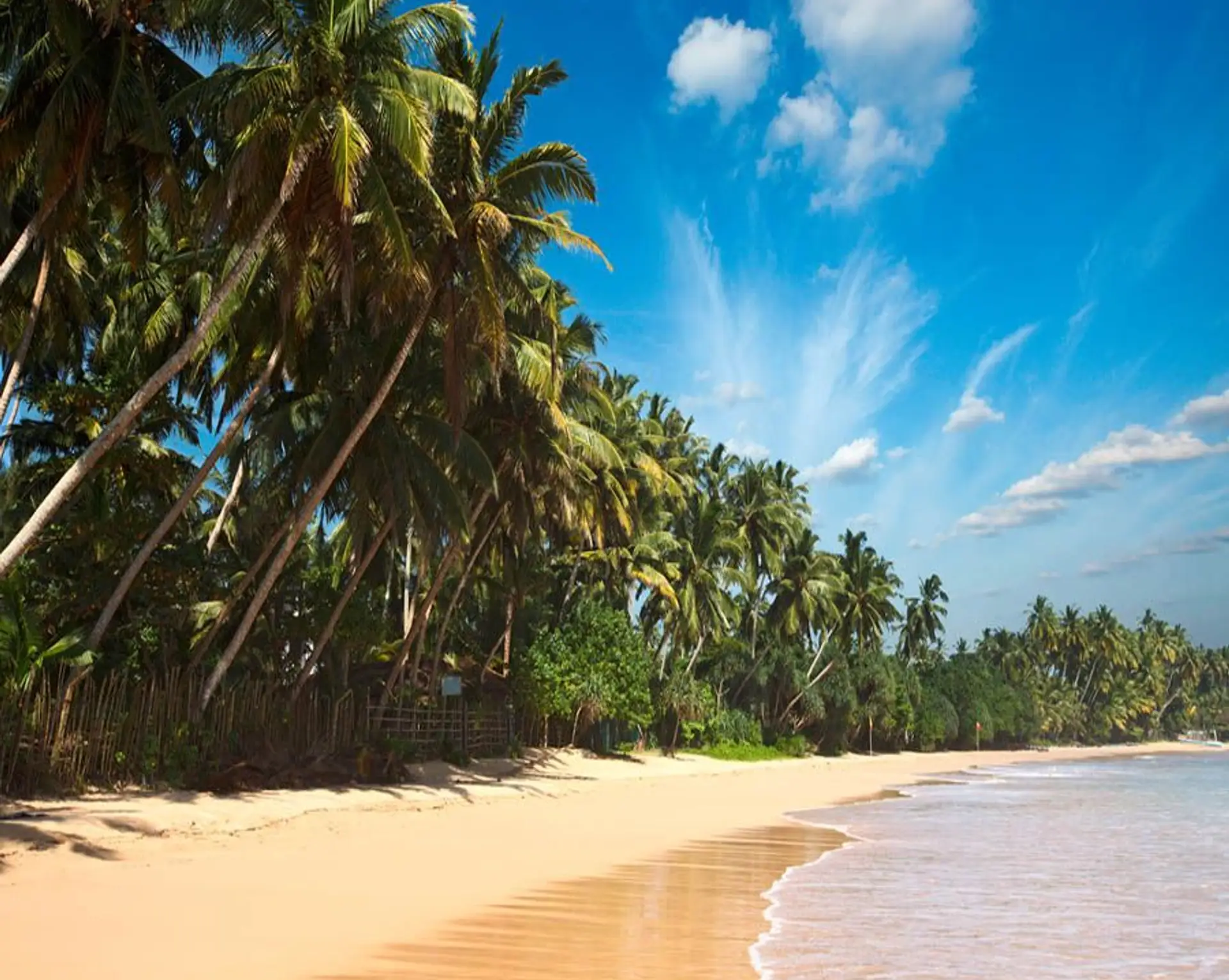 tourismus-in-sri-lanka-eine-insel-ohne-saison.htm