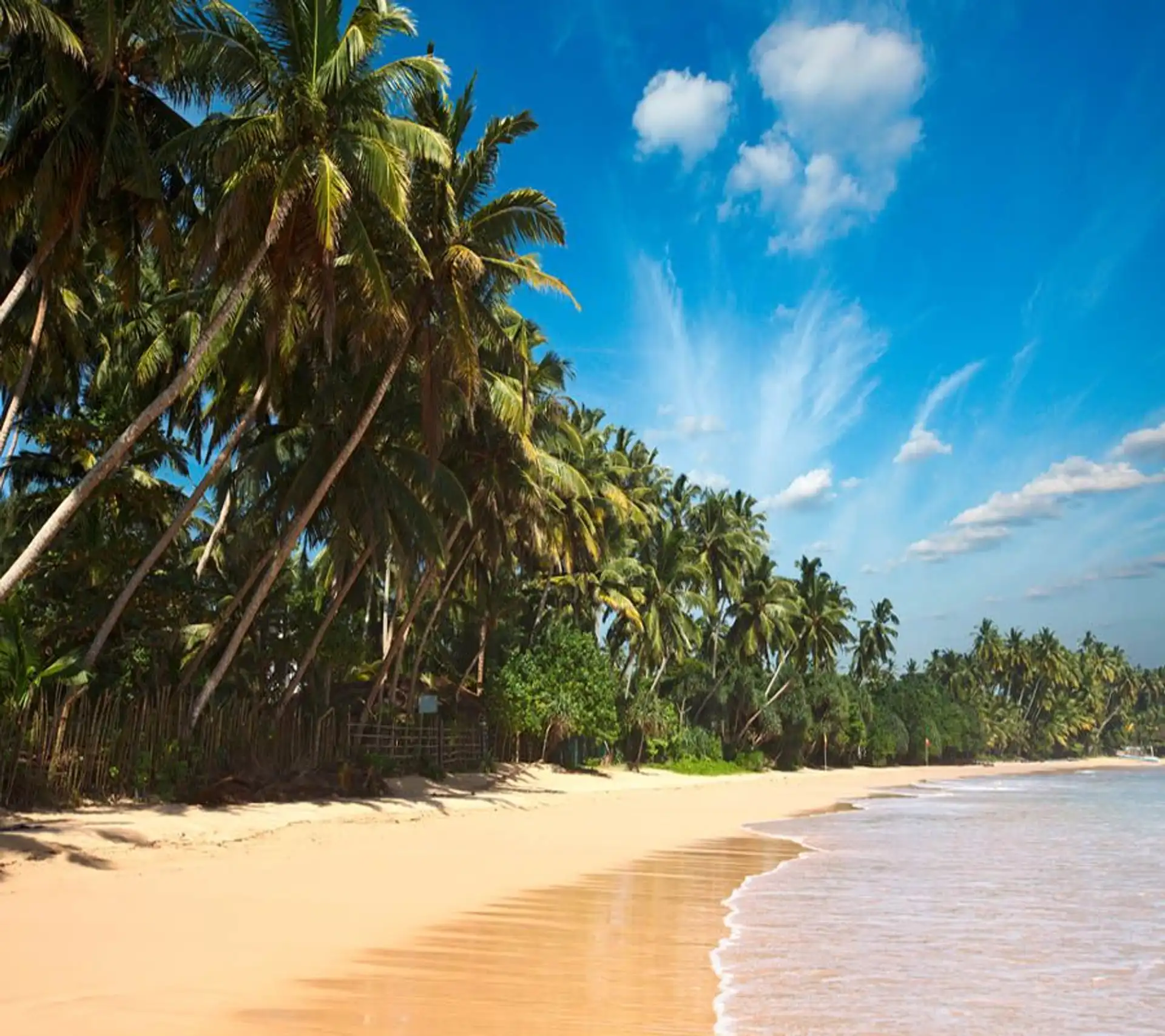tourismus-in-sri-lanka-eine-insel-ohne-saison.htm