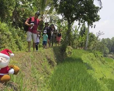 Travel in Asia - A Santa Clause figurine sitting next to a terraced rice field in Bali