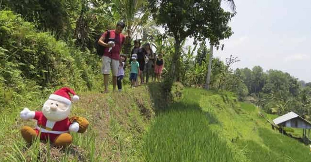 Travel in Asia - A Santa Clause figurine sitting next to a terraced rice field in Bali