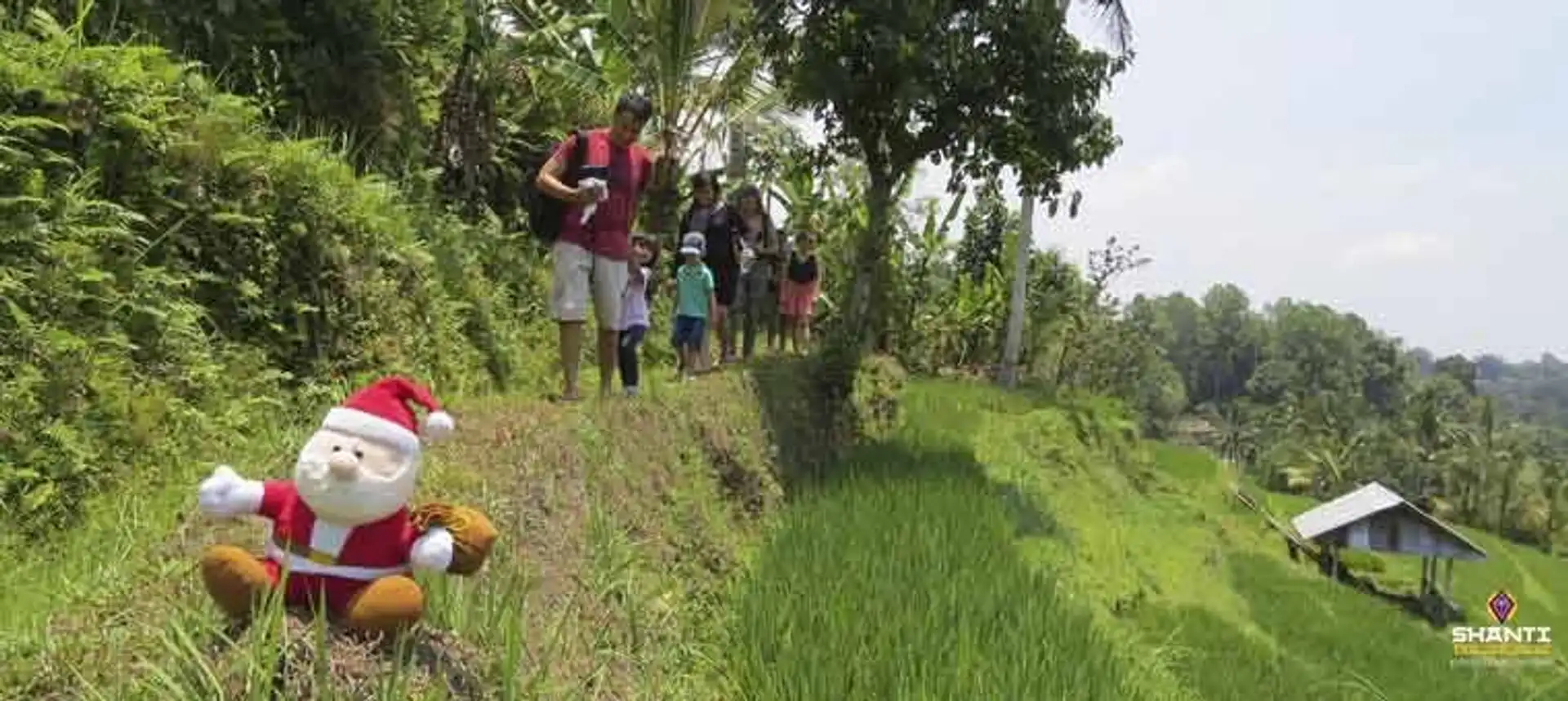 Travel in Asia - A Santa Clause figurine sitting next to a terraced rice field in Bali