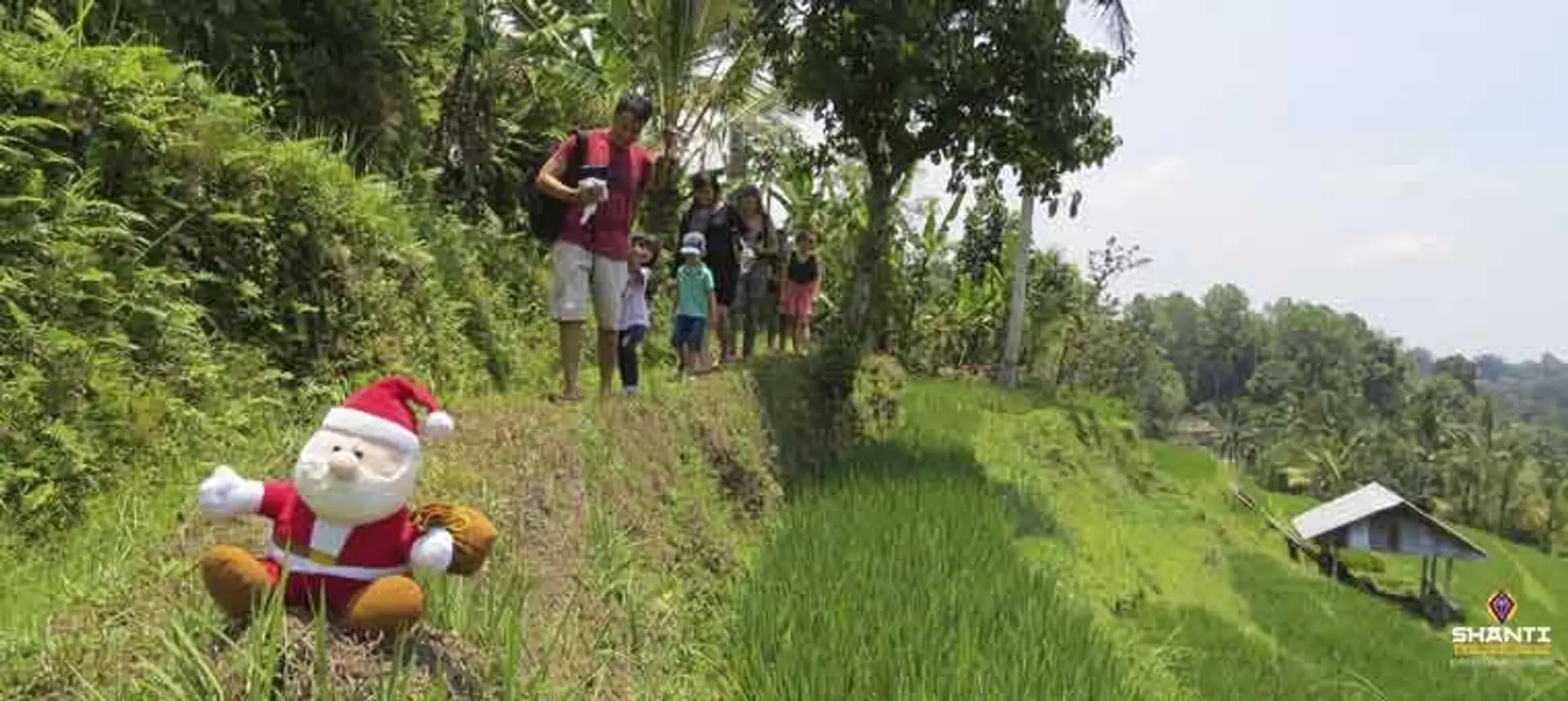 Travel in Asia - A Santa Clause figurine sitting next to a terraced rice field in Bali
