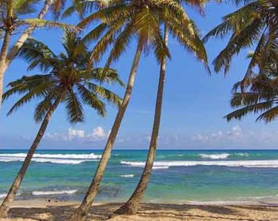 Travel in Asia - A peaceful scene with palm trees in front of a beach