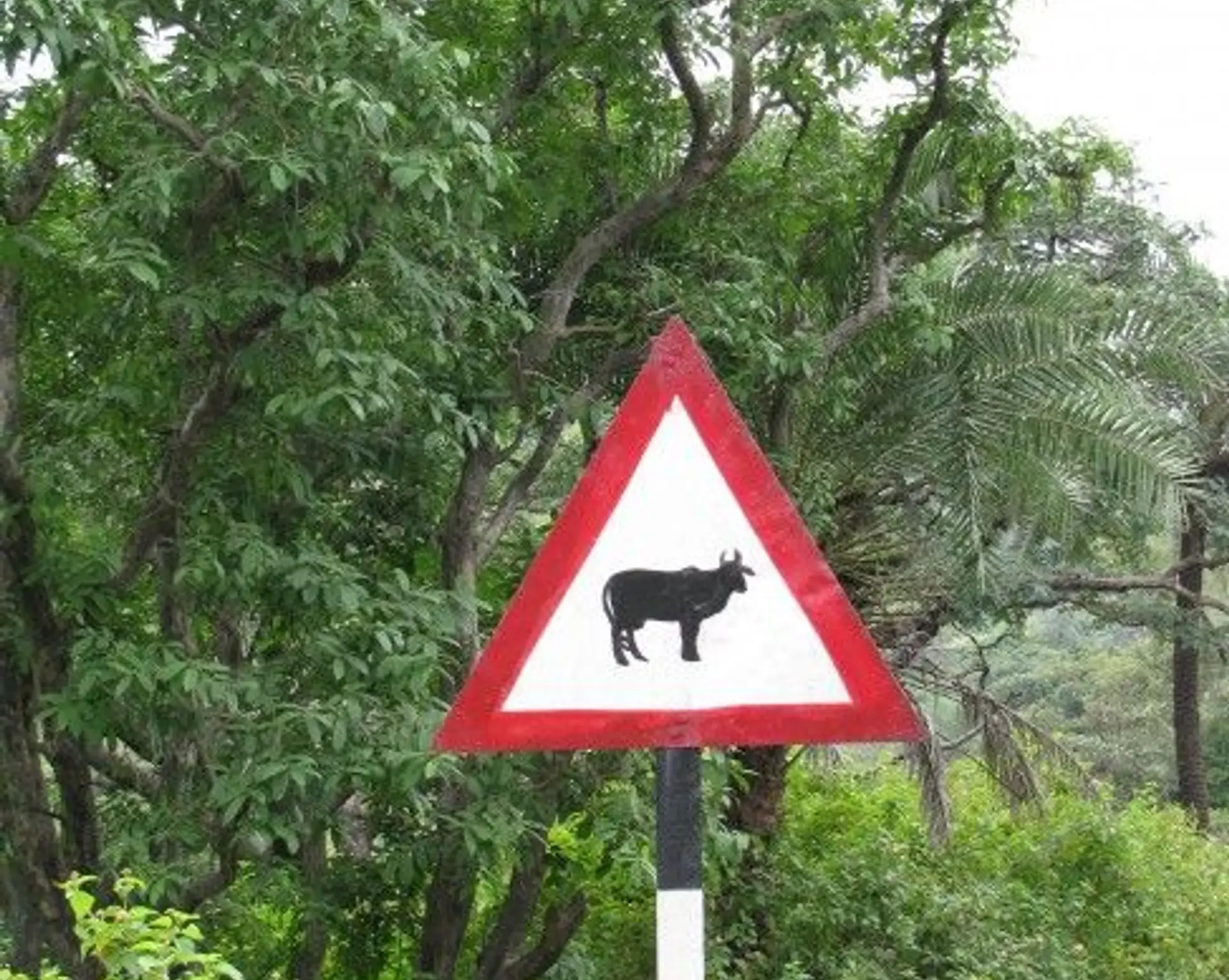 udaipur-und-meine-erste-rajasthanreise.htm