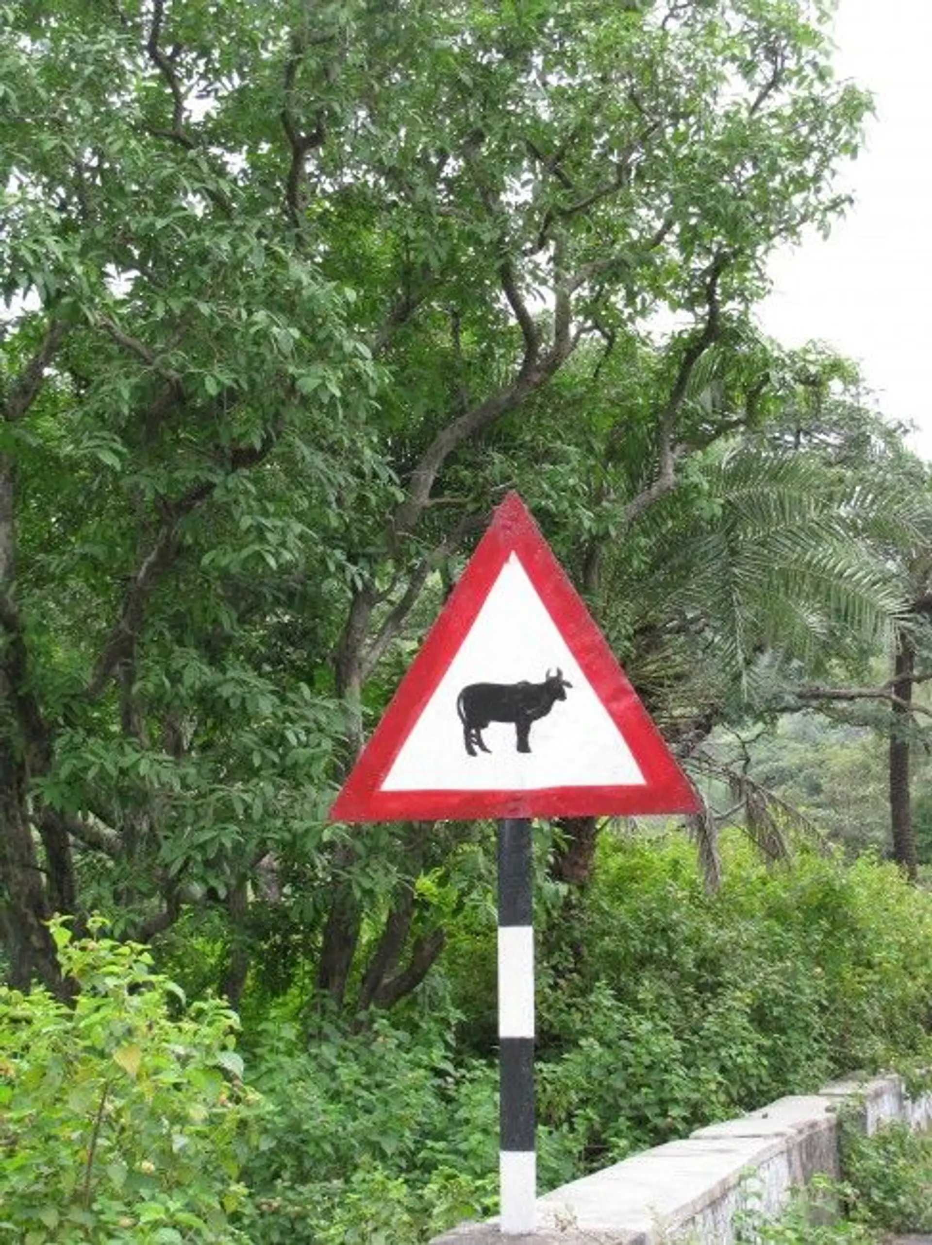 udaipur-und-meine-erste-rajasthanreise.htm