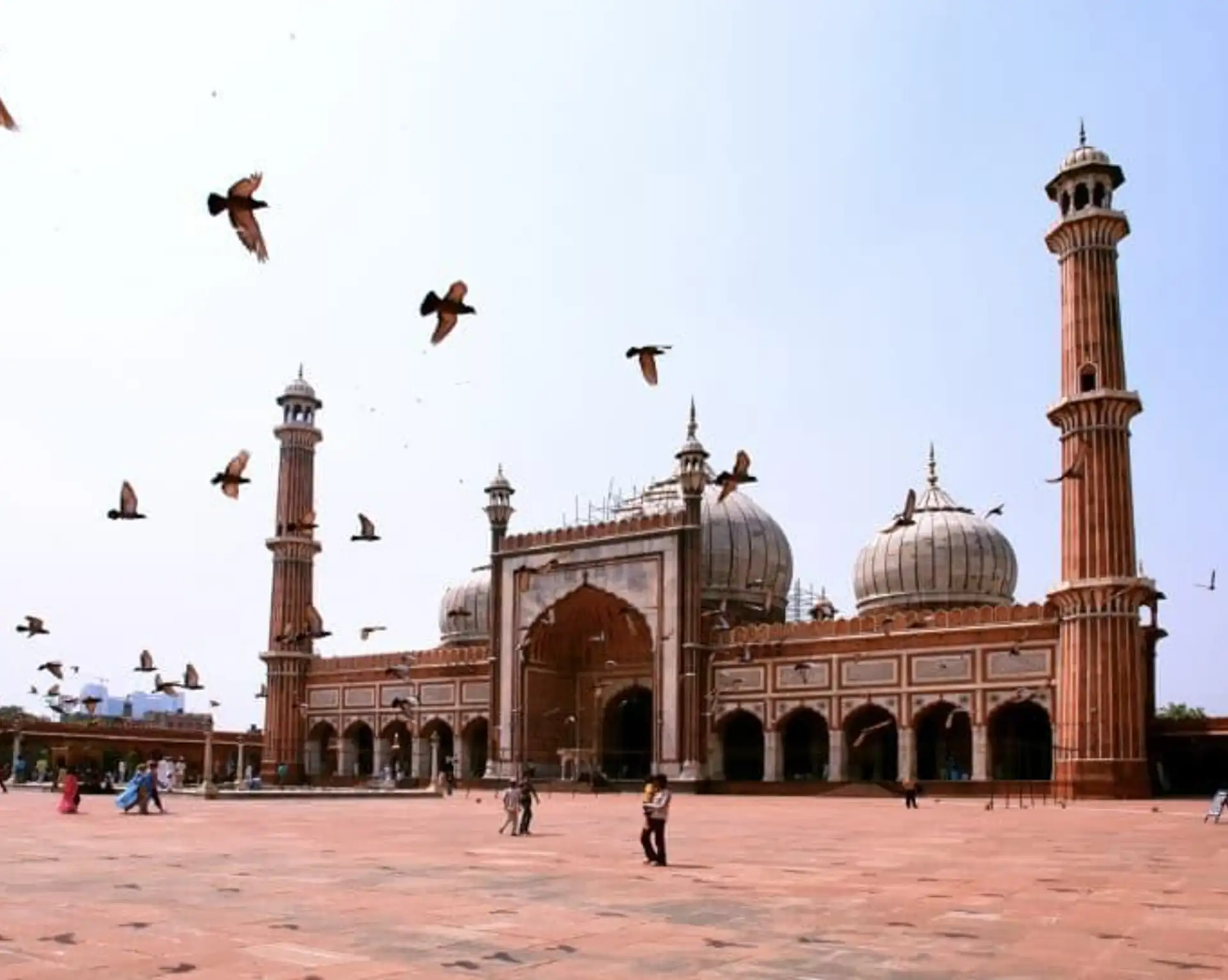 visiter-delhi-la-mal-aimee.htm