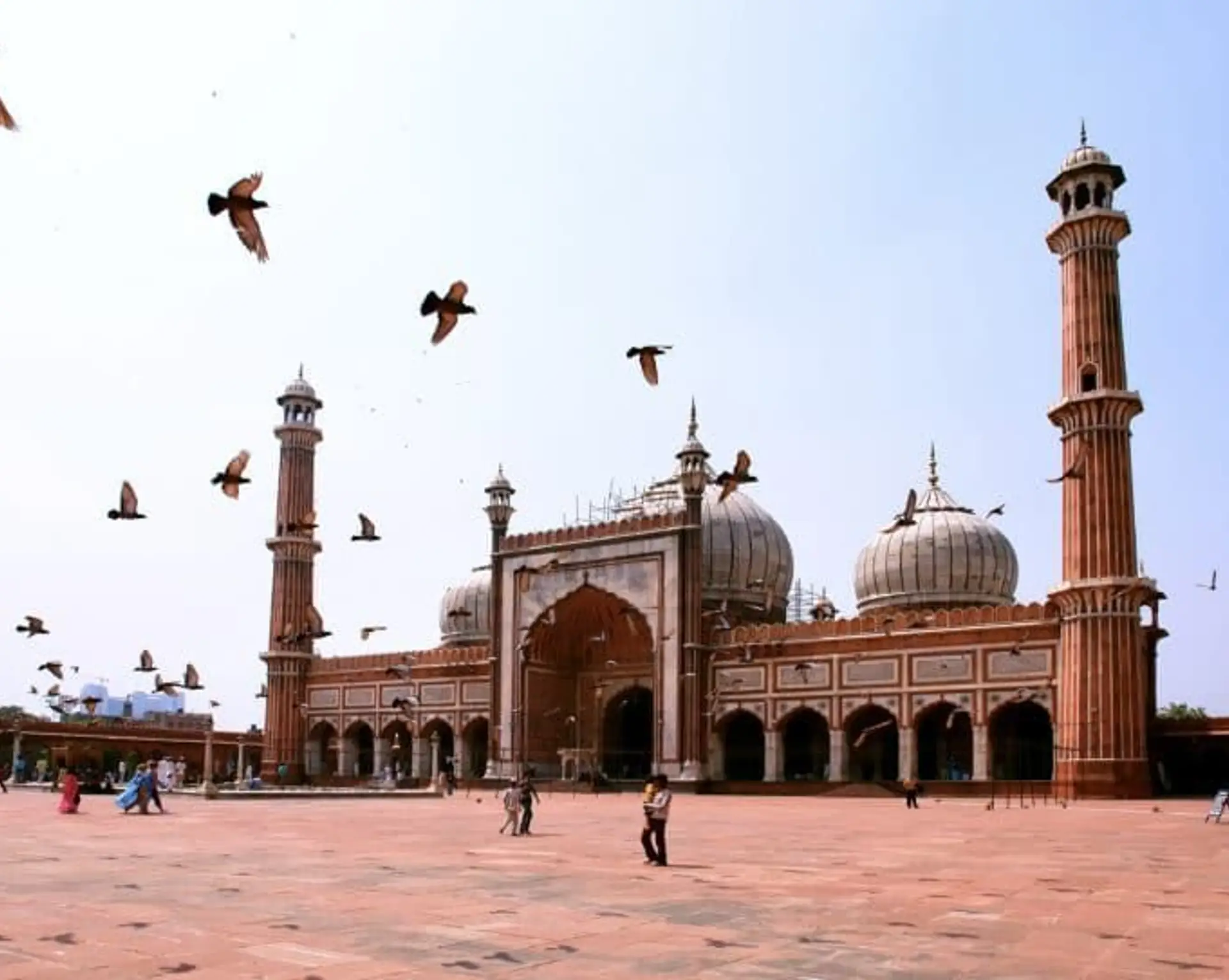 visiter-delhi-la-mal-aimee.htm