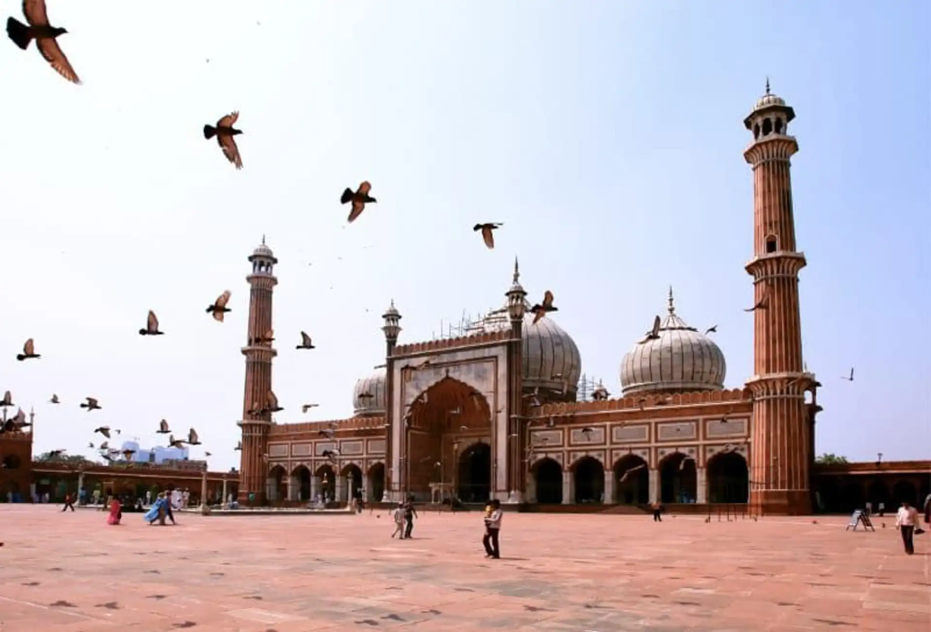 visiter-delhi-la-mal-aimee.htm