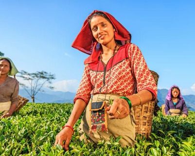 voyage-en-petit-groupe-au-nord-est-de-linde-avec-pierre-le-roux-et-les-jardins-de-gaia.htm