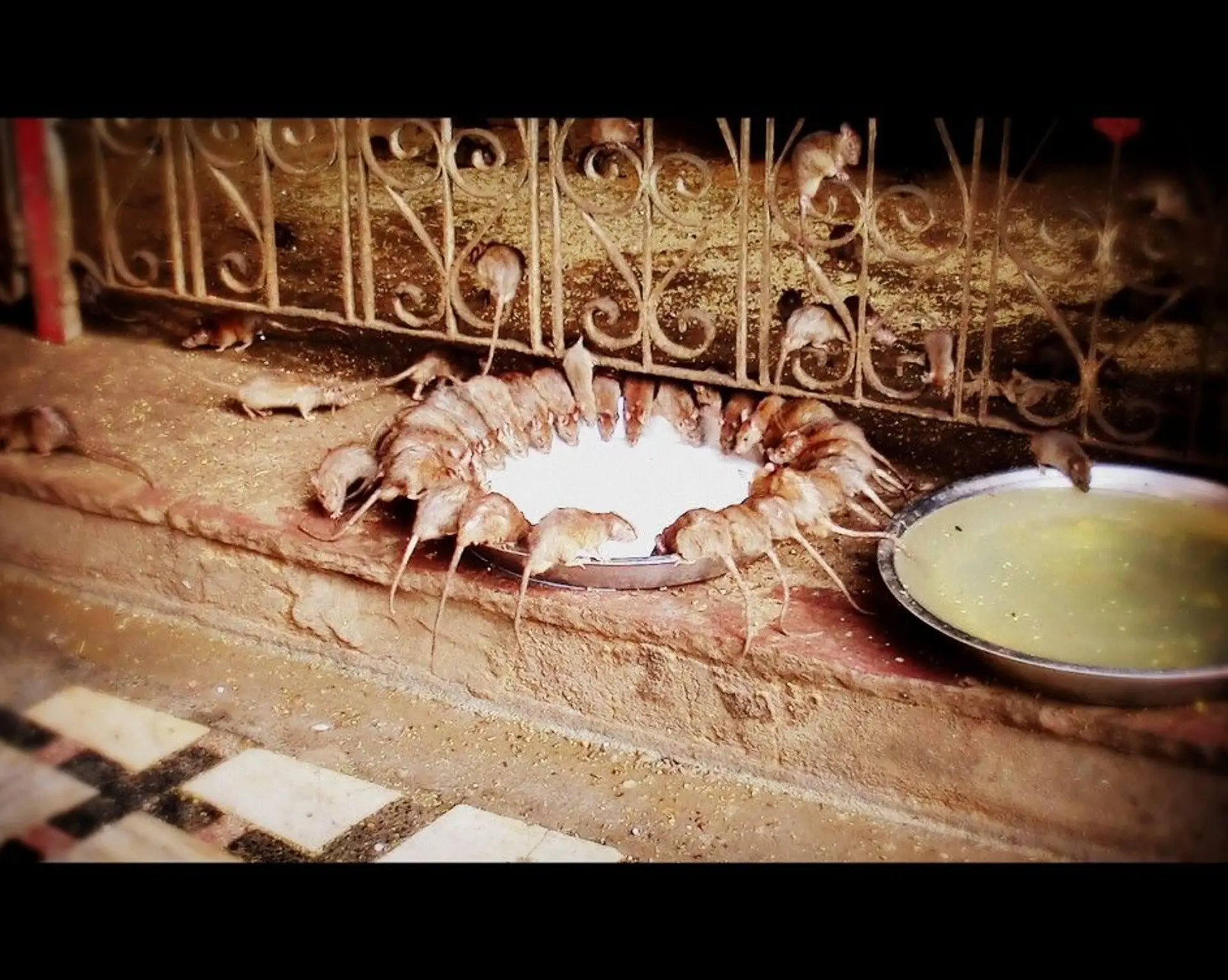 week-end-bikaner.htm