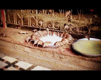 week-end-bikaner.htm