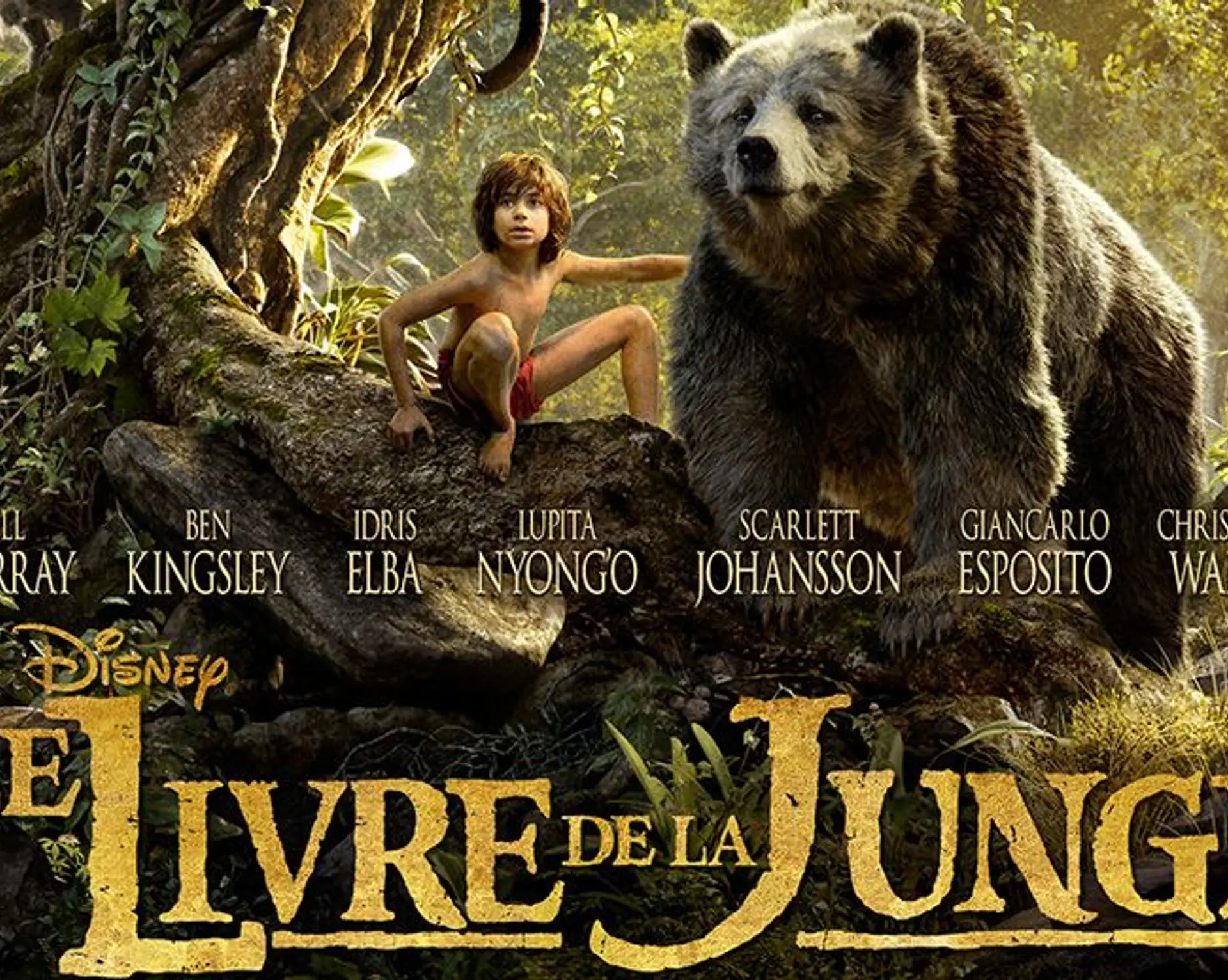 livre-de-la-jungle-madhya-pradesh.htm