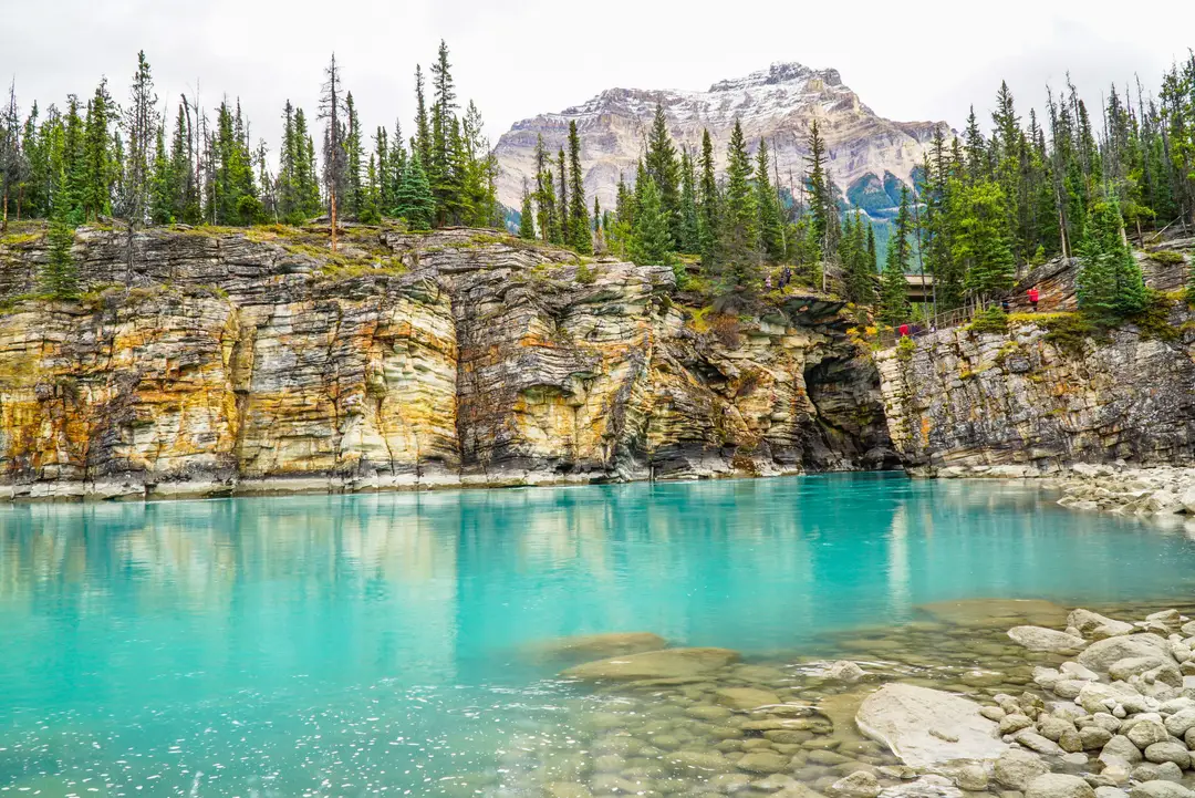 Le canyon Maligne, dans le parc national de Jasper, bordé de falaises rocheuses et de pins.