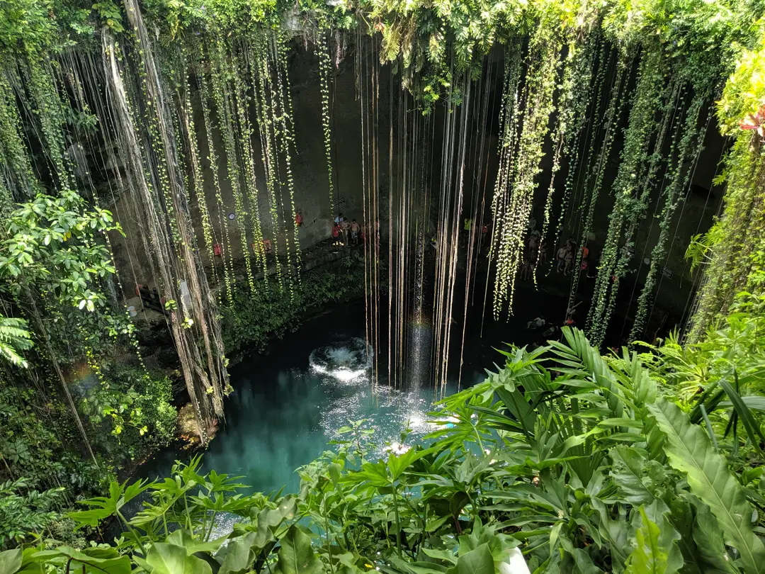 cénote Ik Kil entouré d'une végétation luxuriante au Yucatán, Mexique