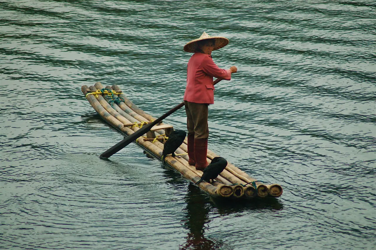 Quand partir en Chine – Pêcheur sur un radeau de bambou traditionnel avec ses cormorans sur la rivière Li.