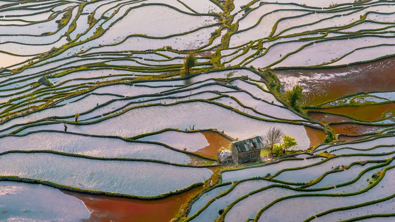 Chine Yuanyang