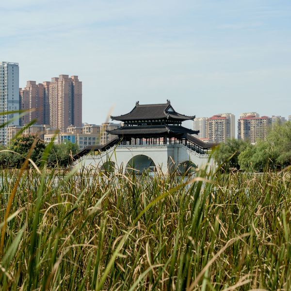 Voyage en Chine - Temple entouré de verdure à Xiangtan