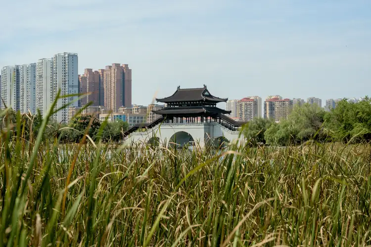 Voyage en Chine - Temple entouré de verdure à Xiangtan