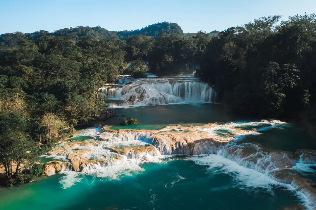 Chutes d'Agua Azul entourées d'une forêt luxuriante dans l'État du Chiapas, au Mexique