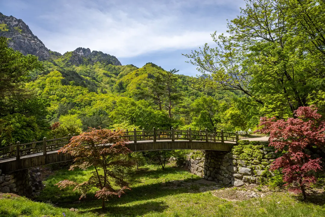 Voyage en Corée du Sud - Joli pont de pierre, au pied du paisible et verdoyant parc national de Seoraksan.