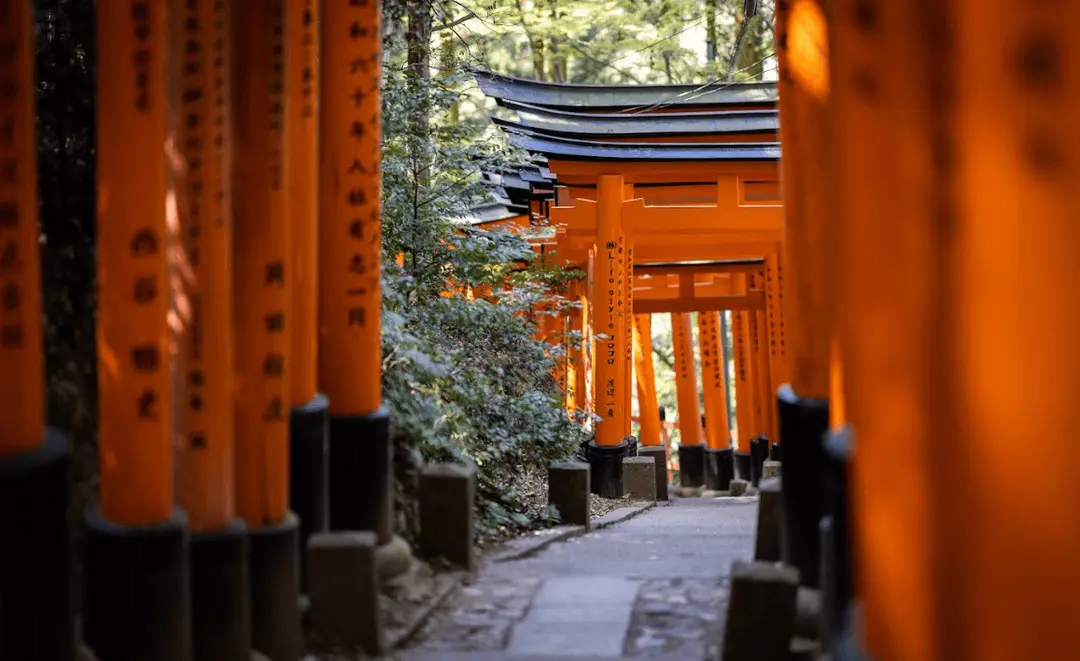 cover-japon-kyoto-momiji-monument
