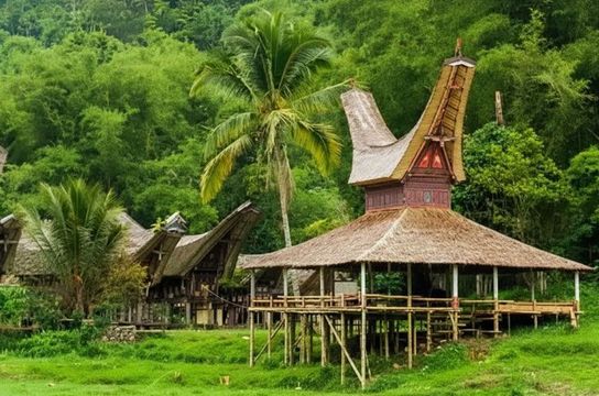 dächer aus büffelhorn in Sulawesi
