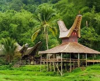 dächer aus büffelhorn in Sulawesi