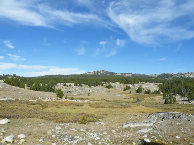 Paysage ouvert de collines rocheuses et forêts de conifères de la chaîne des Bighorn Mountains sous un ciel bleu strié de nuages blancs dans le Wyoming
