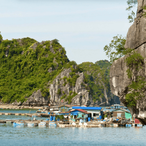 baie-halong-visite-guidee