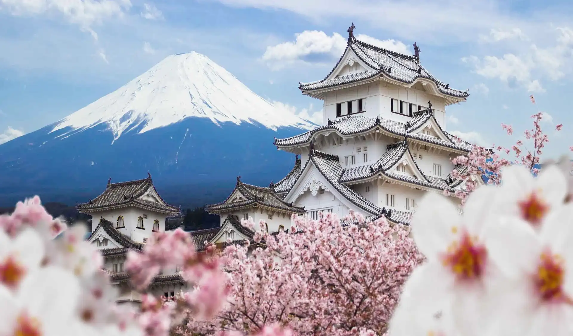 Voyage au Japon – Le château de Himeji entouré de cerisiers en fleurs avec le mont Fuji enneigé en arrière-plan.