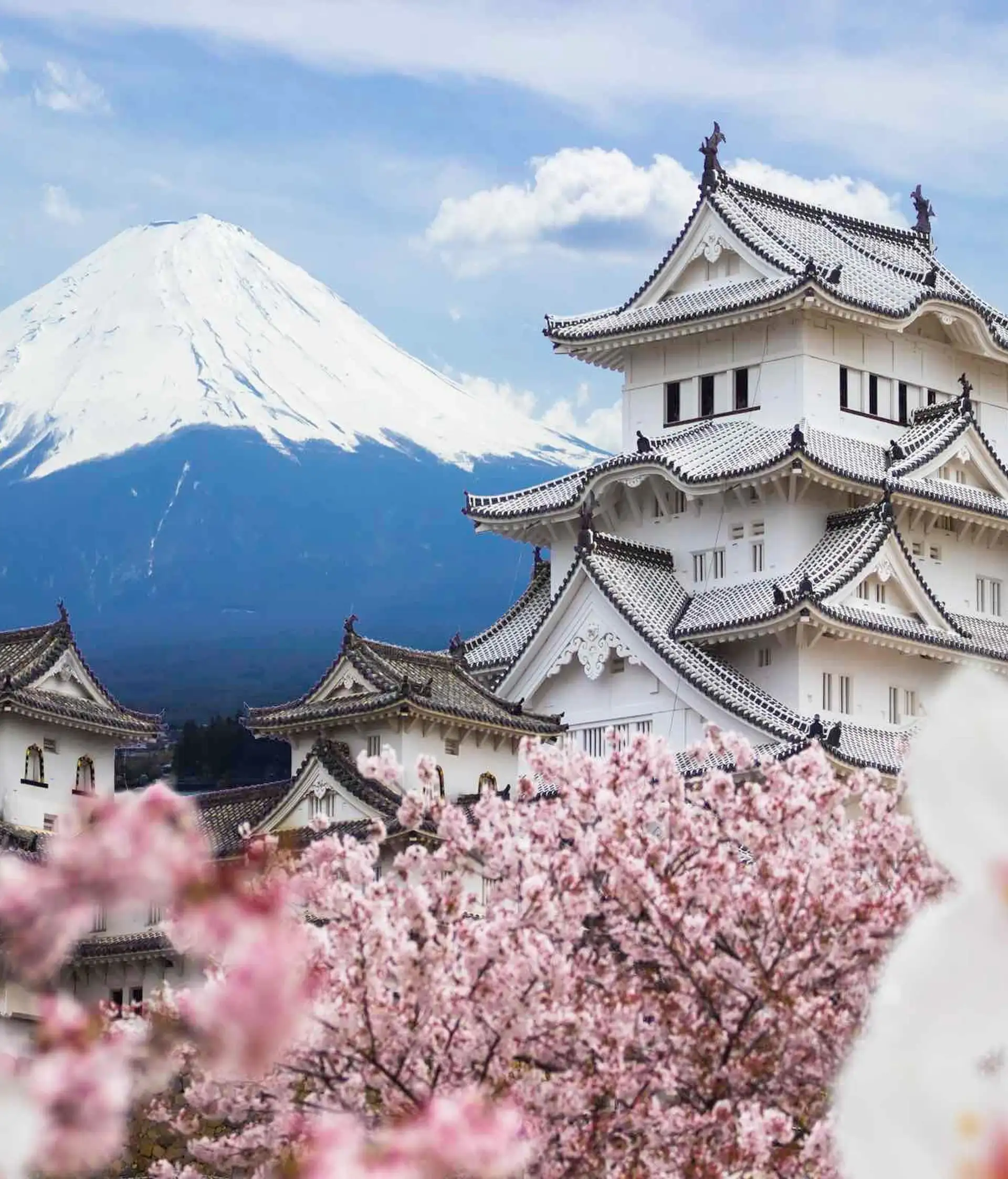Burg Himeji und Berg Fuji mit Kirschblüten in Japan